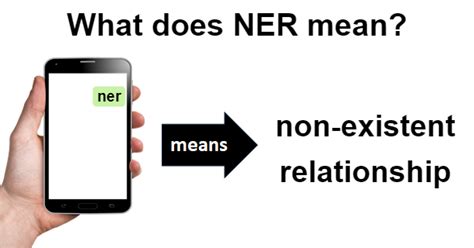 sulasok.ner|ner meaning.